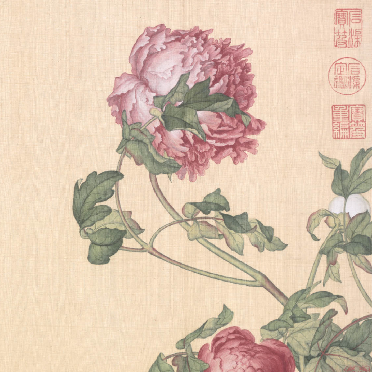 Flowers and birds